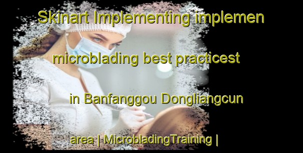 Skinart Implementing implemen microblading best practicest in Banfanggou Dongliangcun area | MicrobladingTraining | MicrobladingClasses | SkinartTraining-China